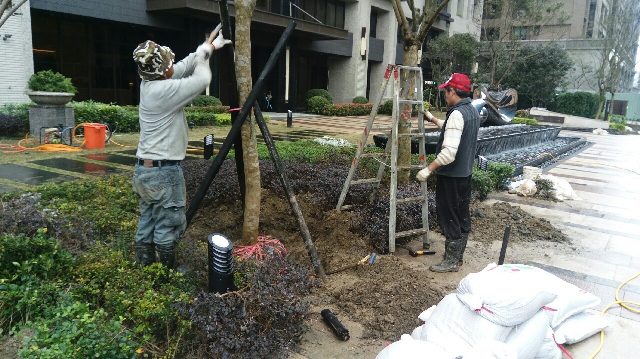 專業台北種樹工程